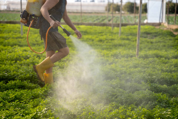 Pest Control Cost in Herald Harbor, MD